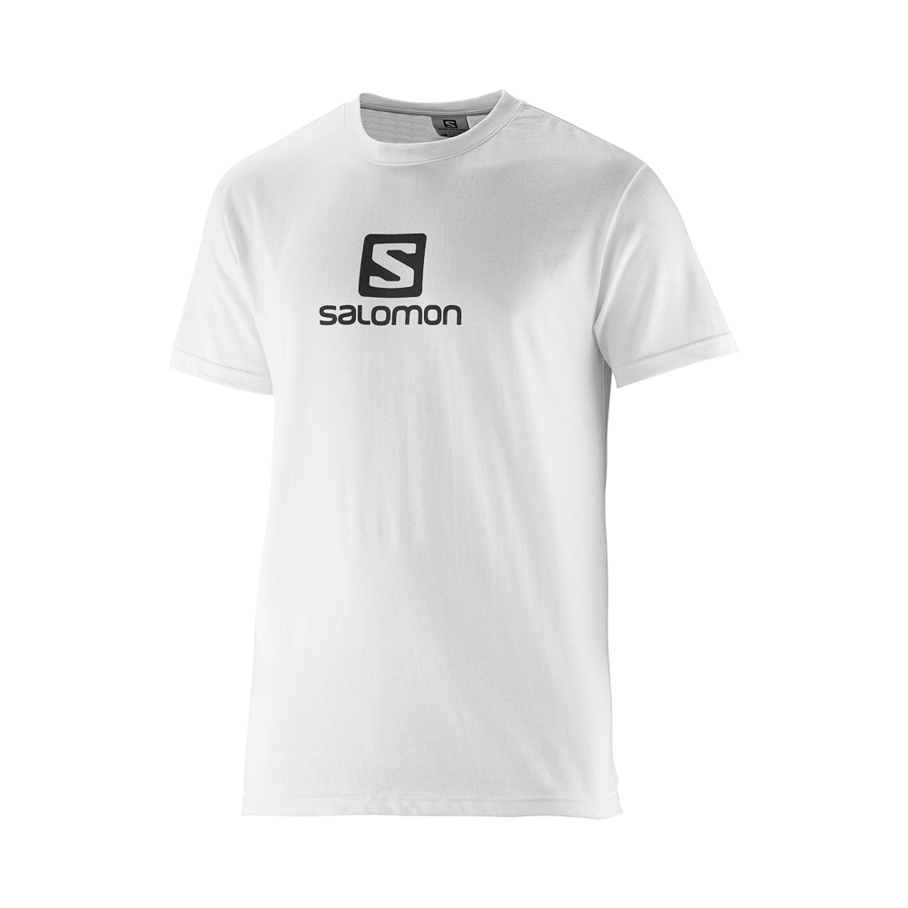 T-shirt-Salomon-Polylogo-M-S01.jpeg